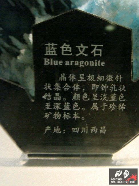 DSC01524.JPG