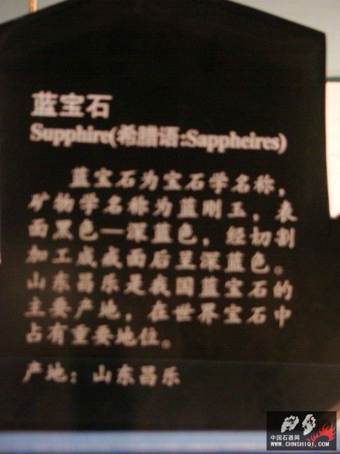 DSC01531.JPG