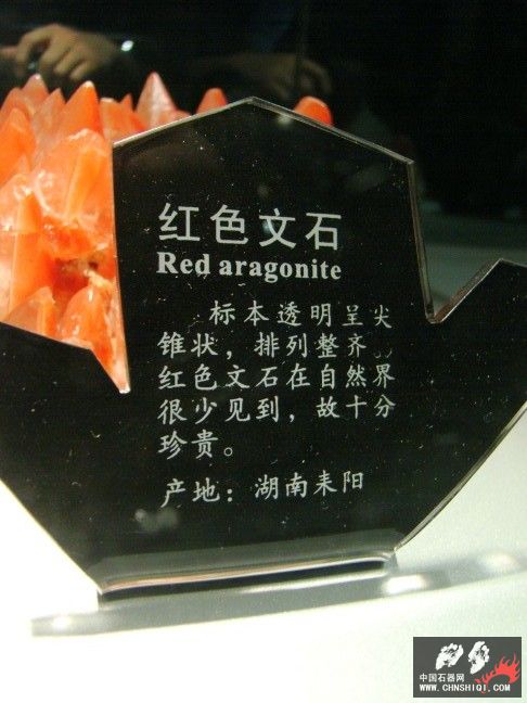 DSC01529.JPG