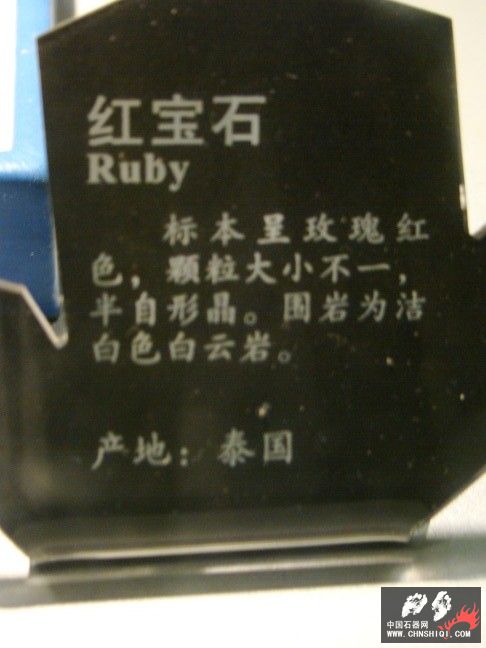 DSC01540.JPG