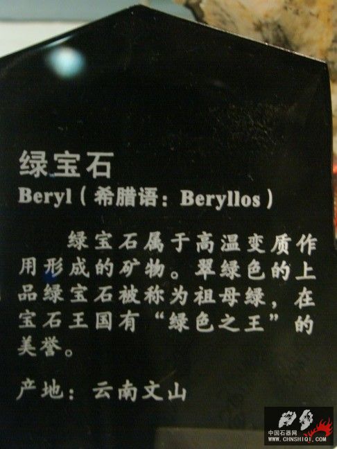 DSC01537.JPG