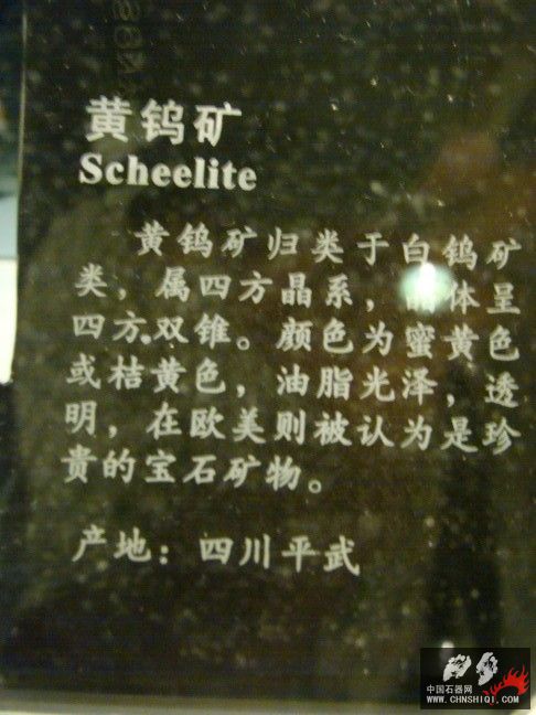 DSC01577.JPG