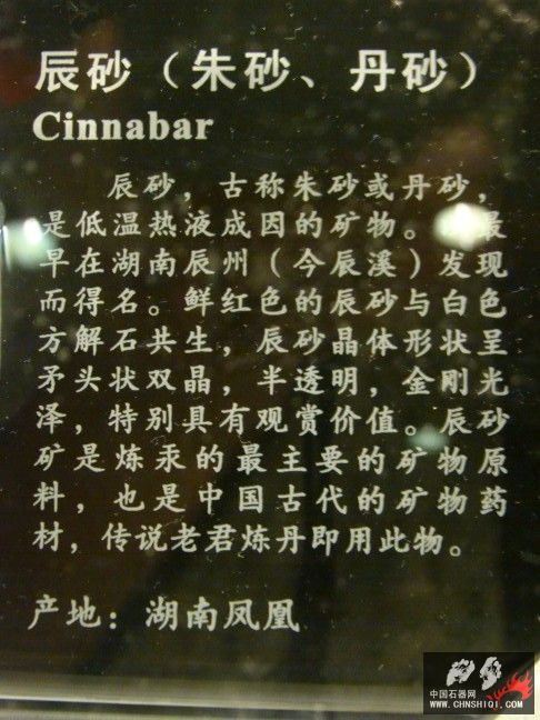 DSC01581.JPG