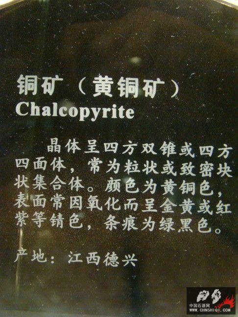 DSC01590.JPG