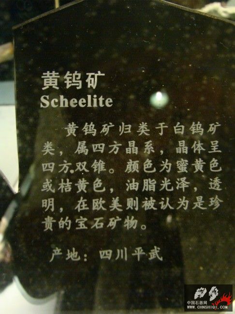 DSC01600.JPG