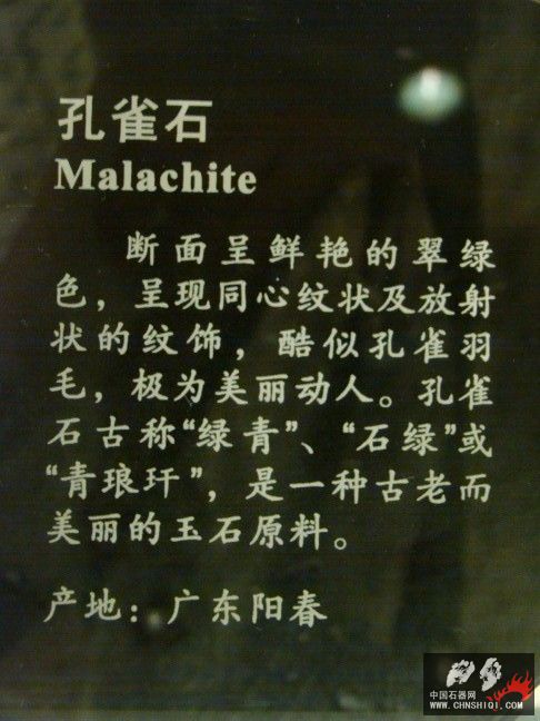 DSC01612.JPG