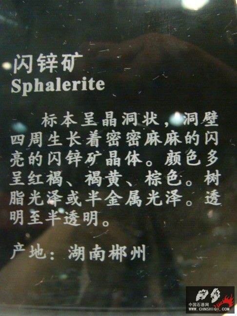 DSC01615.JPG