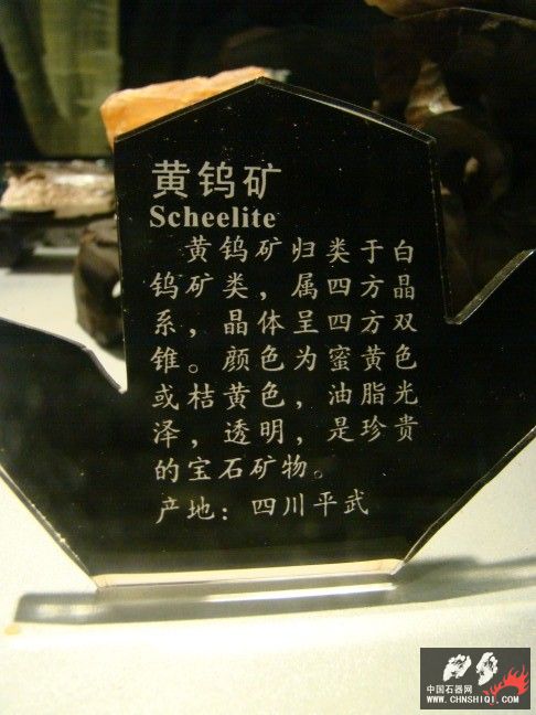 DSC01633.JPG