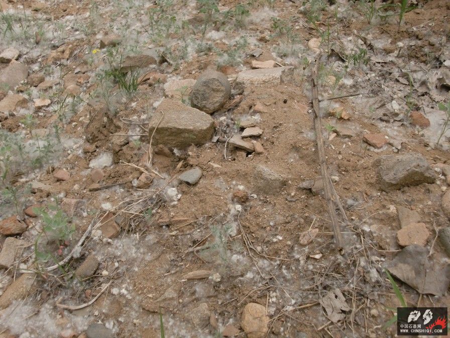 CIMG5104.jpg