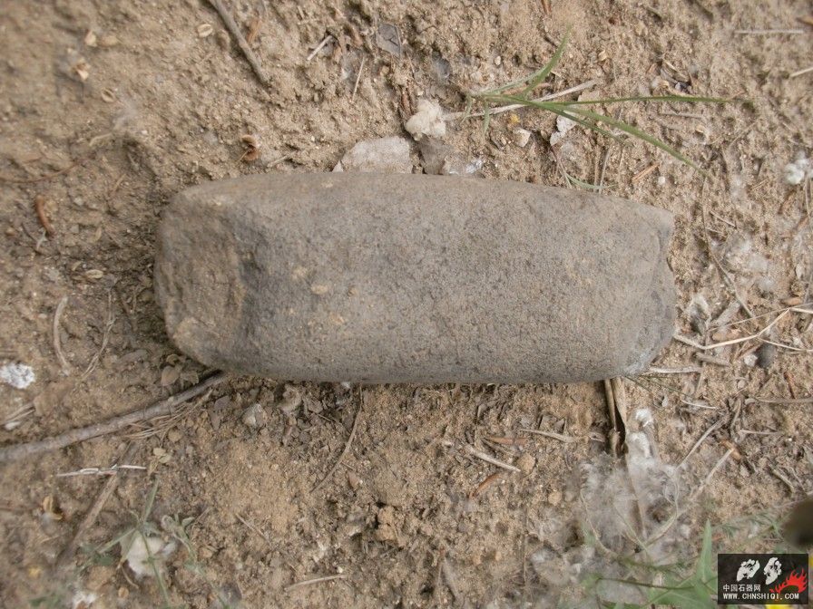 CIMG5124.jpg