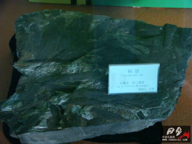 DSC02461.JPG