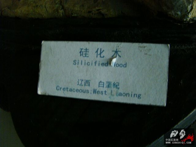 DSC02460.JPG