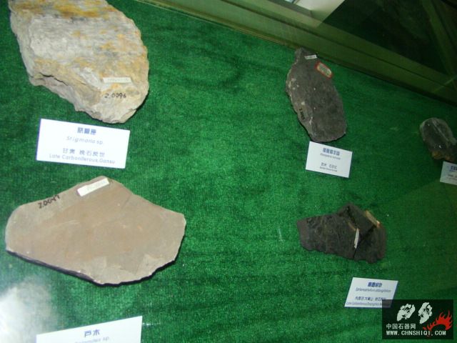 DSC02469.JPG