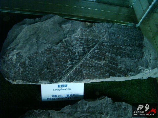 DSC02473.JPG