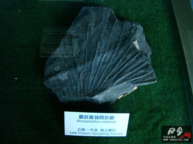 DSC02475.JPG