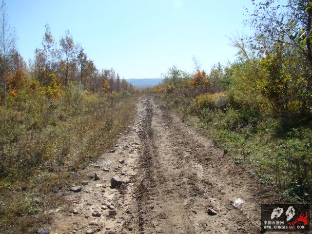 DSC03994.JPG