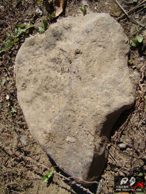 DSC04023.JPG