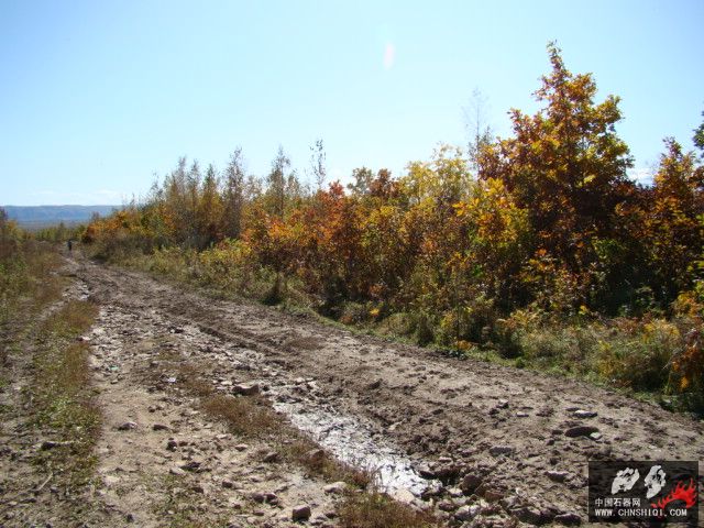 DSC04049.JPG