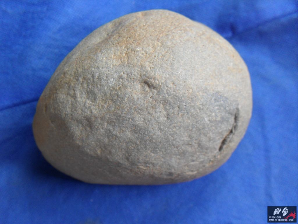 SDC12765.JPG