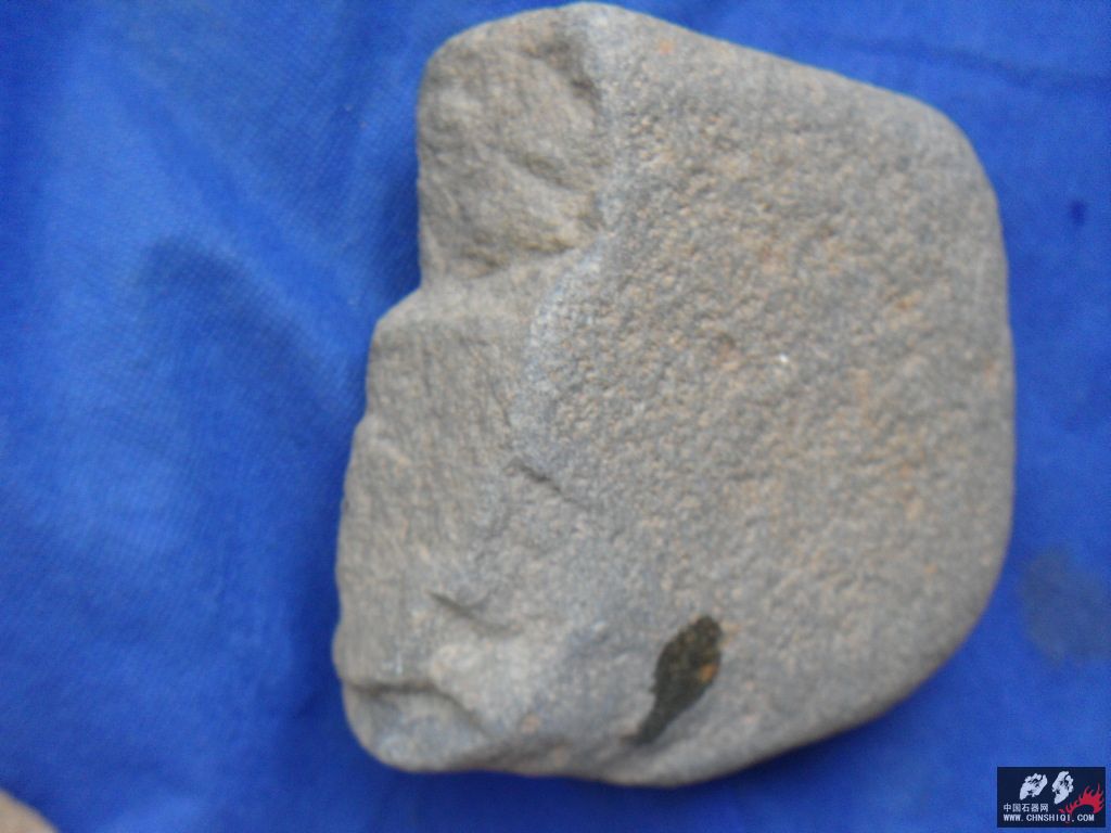 SDC12763.JPG