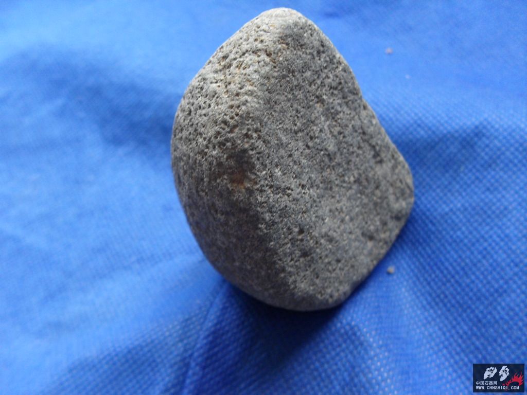 SDC12697.JPG