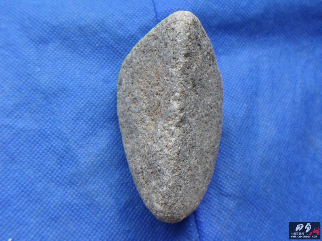 SDC12695.JPG