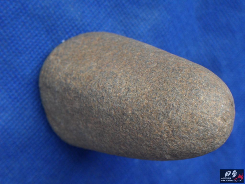 SDC12630.JPG