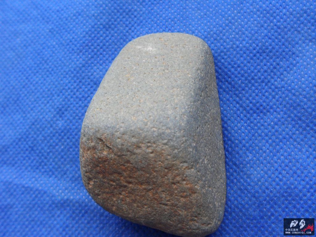 SDC12731.JPG