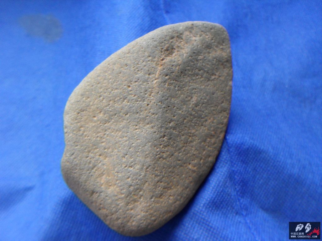 SDC12632.JPG