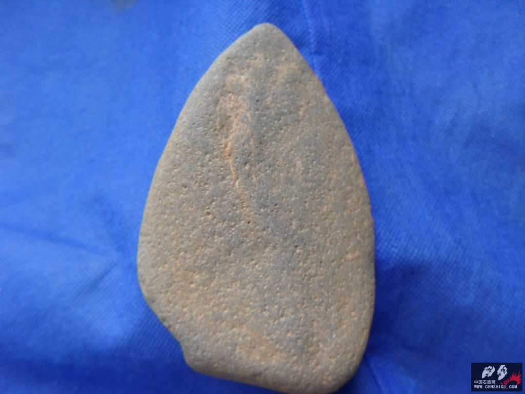 SDC12633.JPG