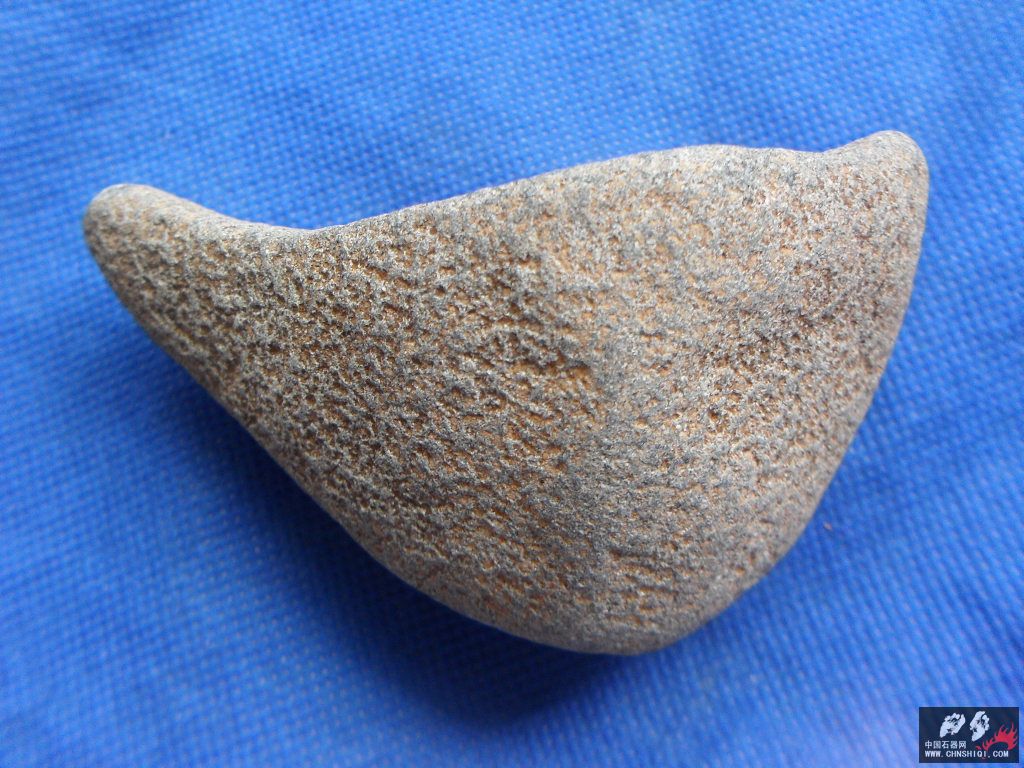 SDC12750.JPG