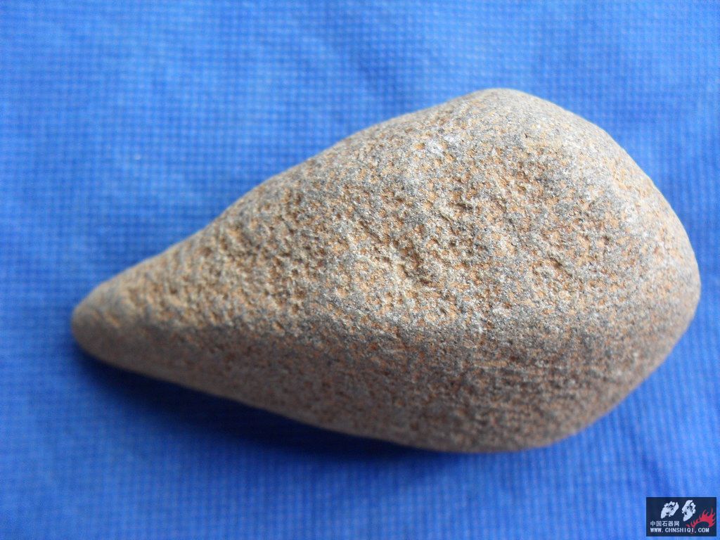 SDC12751.JPG