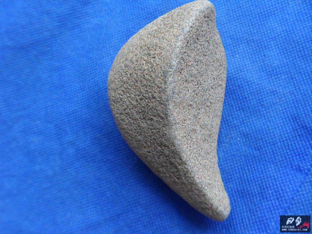 SDC12753.JPG
