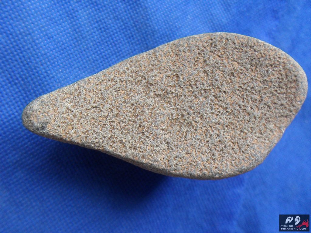 SDC12747.JPG