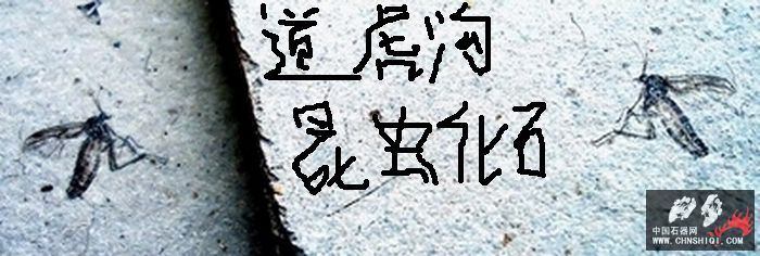 DSC00109.JPG