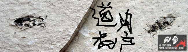DSC00114.JPG