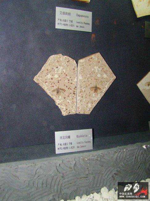 DSC06286.JPG