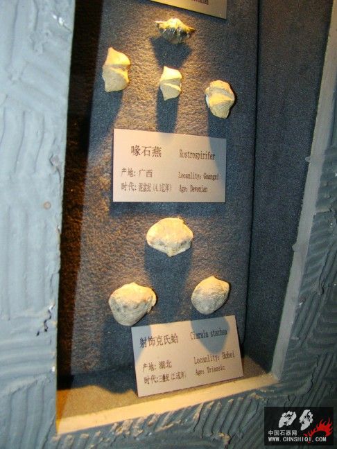 DSC06298.JPG