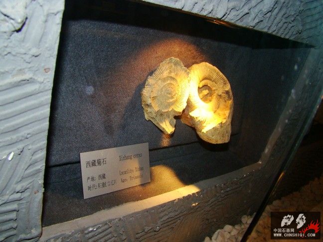 DSC06304.JPG