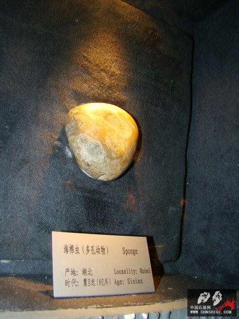 DSC06306.JPG