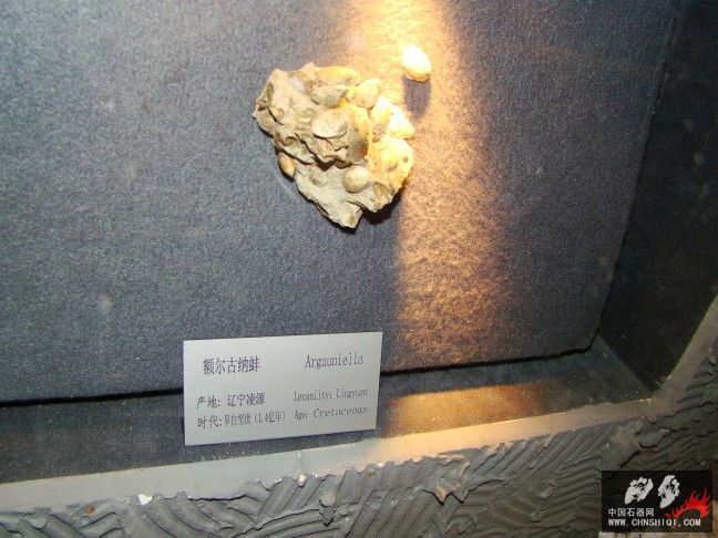 DSC06308.JPG