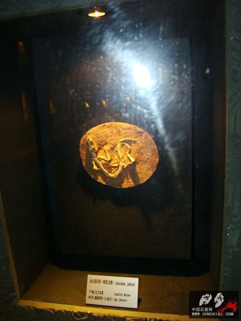 DSC06329.JPG
