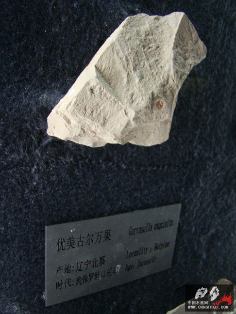 DSC06353.JPG