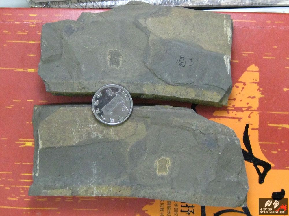 2010-5 (21).JPG