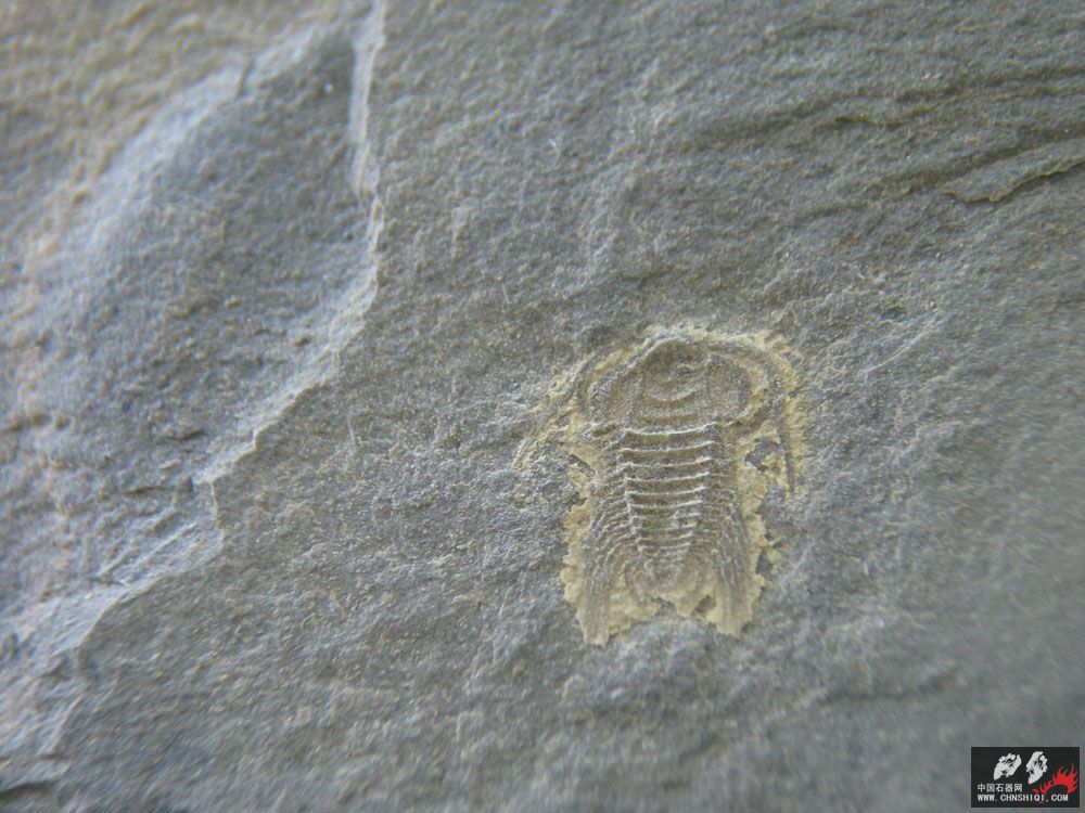 2010-5 (13).JPG