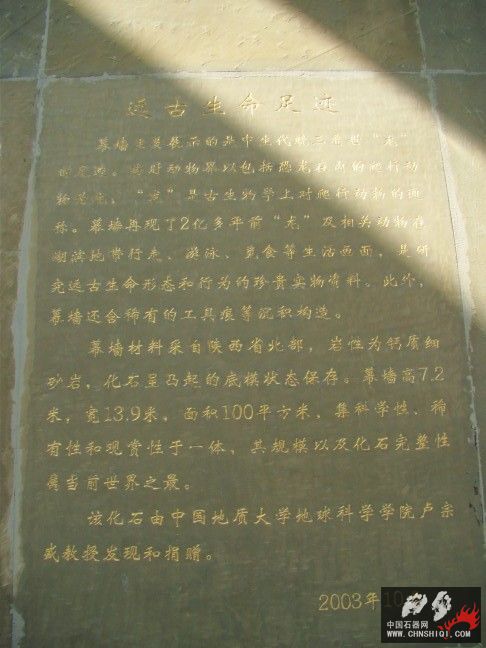DSC08488.JPG