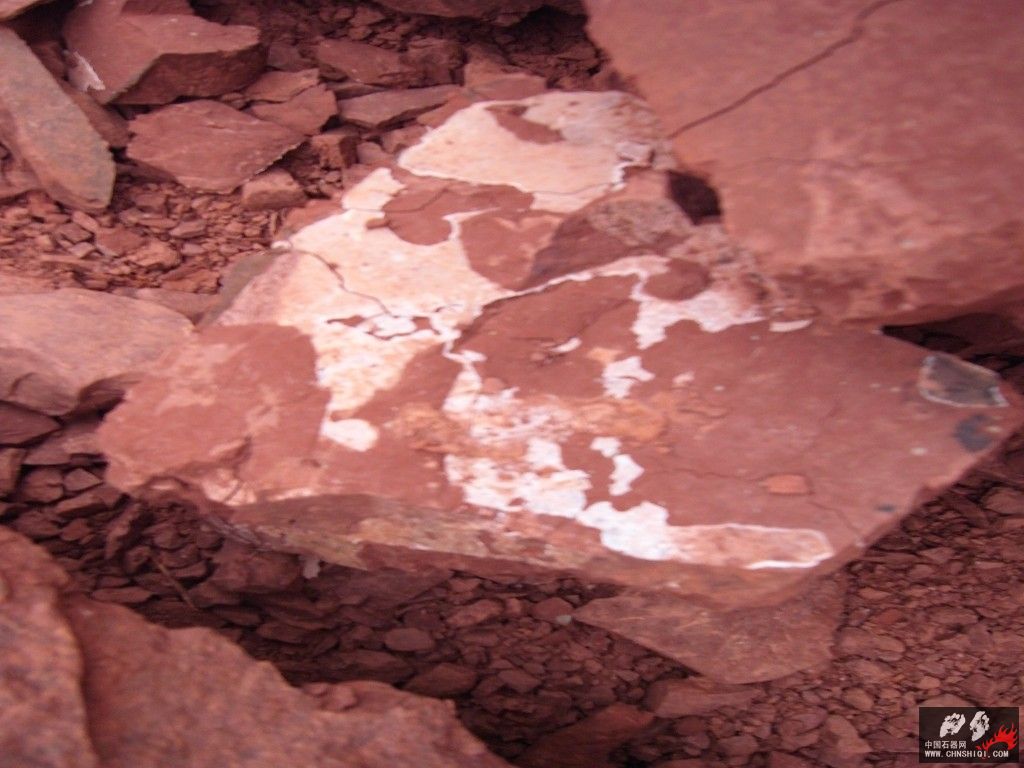复件 R0029008_conew1.jpg