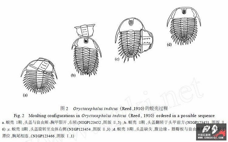 未命名呵呵.jpg