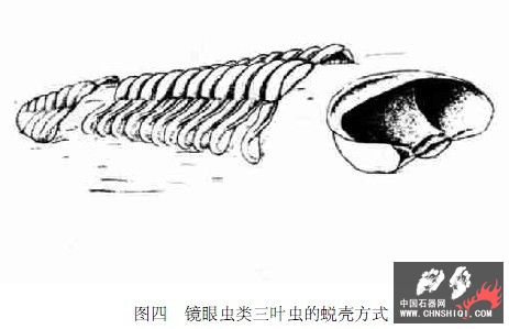 未命名一样.jpg