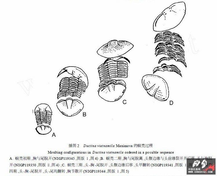 未命名11.jpg